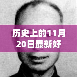 歷史上的11月20日最新好價(jià)表全覽，超值優(yōu)惠概覽