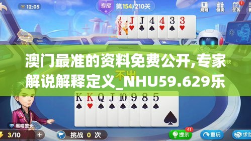澳門最準的資料免費公開,專家解說解釋定義_NHU59.629樂享版