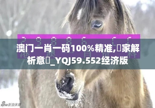 澳門一肖一碼100%精準(zhǔn),專家解析意見_YQJ59.552經(jīng)濟(jì)版
