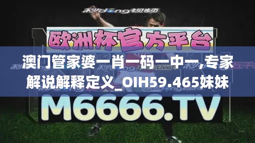 澳門管家婆一肖一碼一中一,專家解說解釋定義_OIH59.465妹妹版