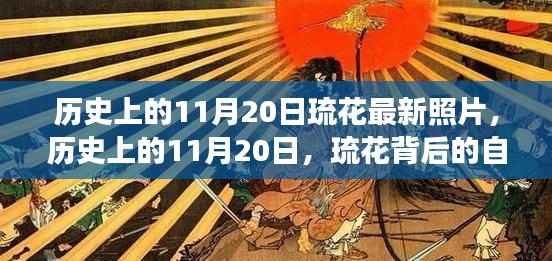 歷史上的11月20日，琉花的新照片揭示背后的自信與成長(zhǎng)之路