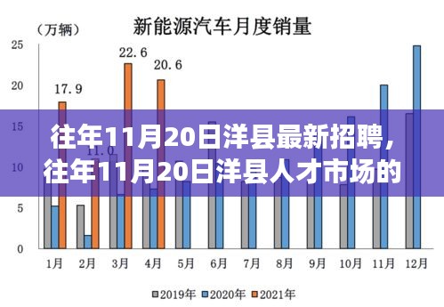洋縣人才市場(chǎng)最新招聘動(dòng)態(tài)概覽，歷年11月20日招聘信息匯總