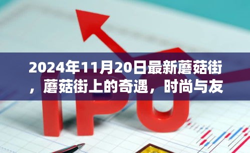 蘑菇街奇遇，時尚與友情的溫馨邂逅在時尚潮流中綻放光彩
