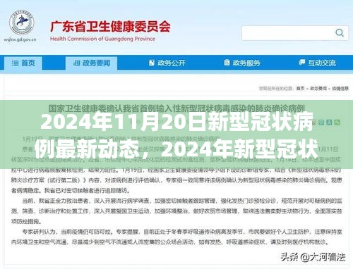 2024年11月20日新冠病毒病例最新動態(tài)，背景、進展與全球影響