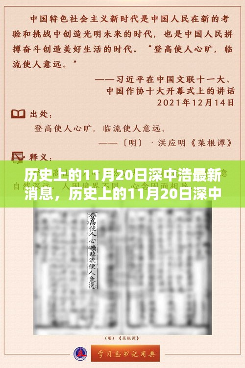 歷史上的11月20日深中浩最新消息，深度解析與觀點(diǎn)闡述