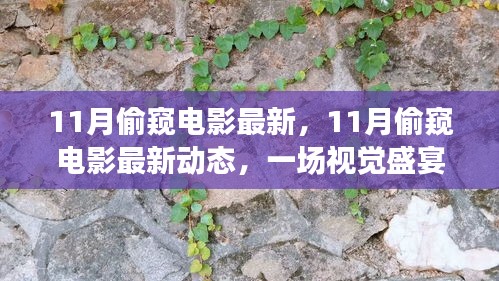 揭秘11月最新電影動(dòng)態(tài)，視覺(jué)盛宴的多維解讀