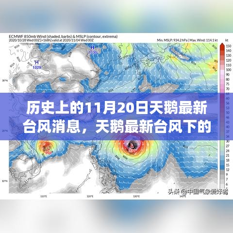天鵝臺風下的友情與陪伴故事，溫馨日常在風雨中閃耀