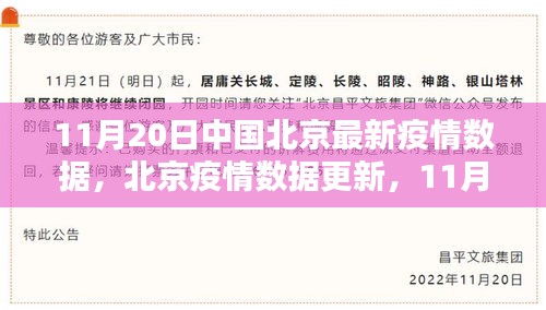 北京疫情最新數(shù)據(jù)解析，數(shù)字背后的故事揭示了什么？