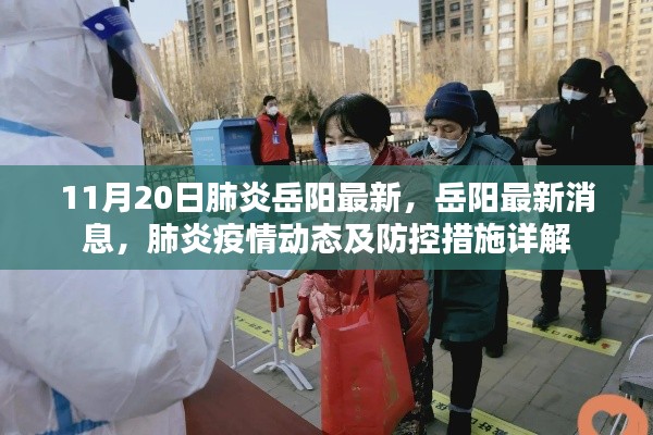 岳陽最新肺炎疫情動態(tài)及防控措施詳解，11月20日最新消息