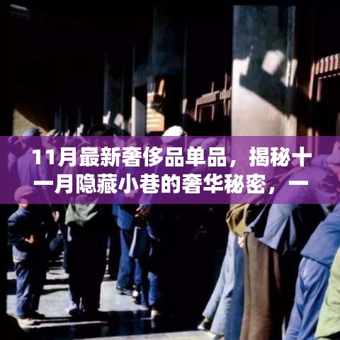 揭秘十一月隱藏小巷奢華秘密，特色小店帶你領(lǐng)略最新奢侈品魅力