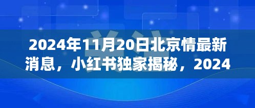 獨(dú)家揭秘，小紅書上的北京情感最新動態(tài)（2024年11月20日）