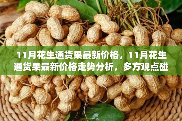 多方觀點碰撞與個人立場，11月花生通貨果最新價格及走勢分析