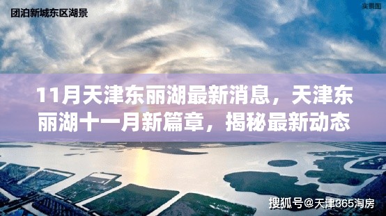 天津東麗湖11月最新動態(tài)揭秘，探尋區(qū)域新紀元，開啟十一月新篇章