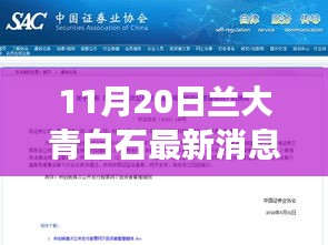 11月20日蘭大青白石最新消息，蘭大青白石新篇章，變化中的學習力量與自信的種子，播種于十一月廿日