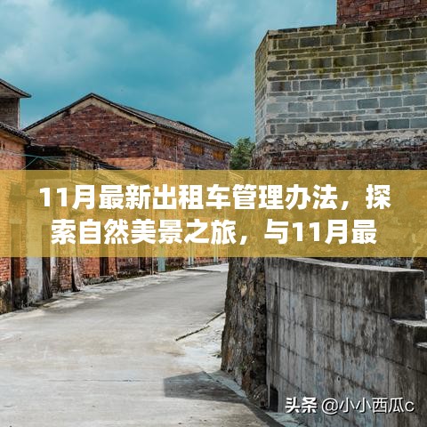 探索自然美景之旅，與最新出租車管理辦法共尋內(nèi)心寧靜之路