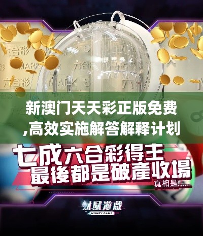 新澳門天天彩正版免費(fèi),高效實(shí)施解答解釋計(jì)劃_防御版ZLZ2.70