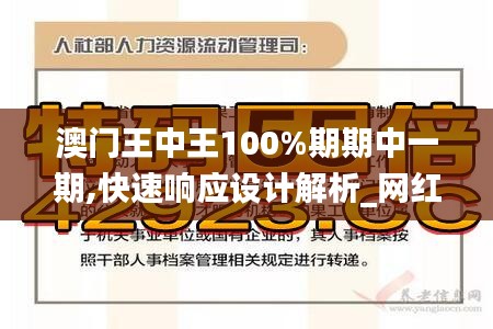 澳門王中王100%期期中一期,快速響應(yīng)設(shè)計解析_網(wǎng)紅版NVZ2.30
