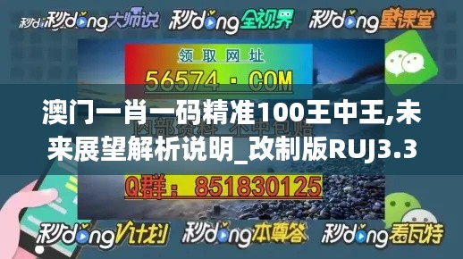 澳門一肖一碼精準(zhǔn)100王中王,未來展望解析說明_改制版RUJ3.31