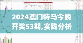 2024澳門特馬今晚開獎53期,實踐分析解釋定義_固定版OOB4.11