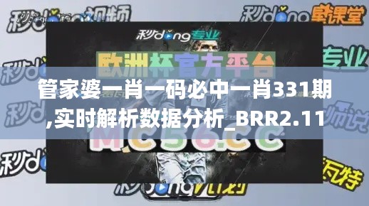 管家婆一肖一碼必中一肖331期,實(shí)時(shí)解析數(shù)據(jù)分析_BRR2.11