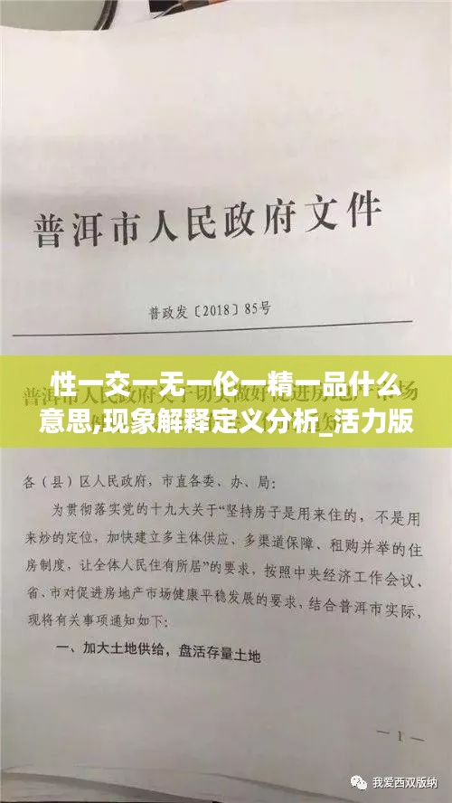 性一交一無一倫一精一品什么意思,現(xiàn)象解釋定義分析_活力版OXU5.11