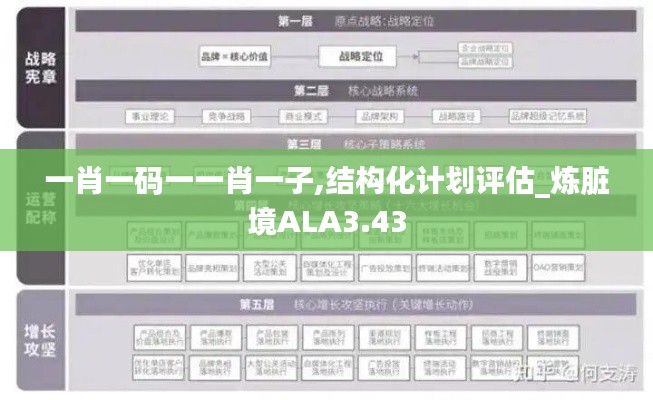 一肖一碼一一肖一子,結(jié)構(gòu)化計(jì)劃評(píng)估_煉臟境ALA3.43
