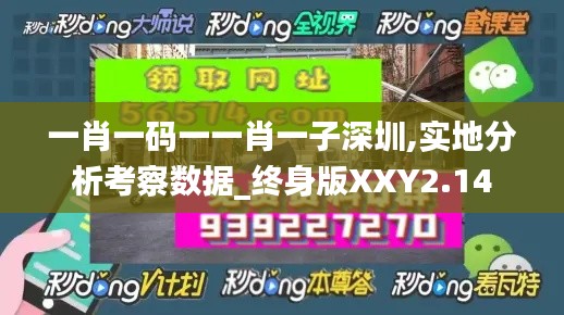 一肖一碼一一肖一子深圳,實地分析考察數(shù)據(jù)_終身版XXY2.14