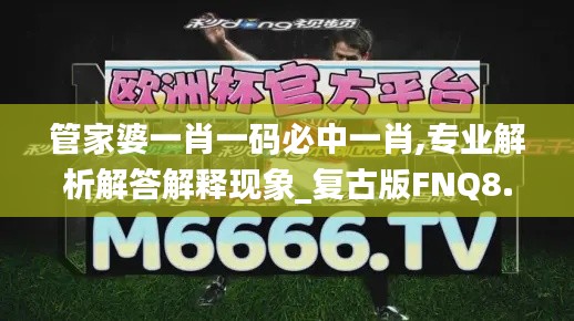 管家婆一肖一碼必中一肖,專業(yè)解析解答解釋現(xiàn)象_復(fù)古版FNQ8.50
