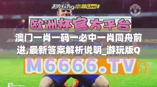 澳門一肖一碼一必中一肖同舟前進(jìn),最新答案解析說明_游玩版QZO6.37