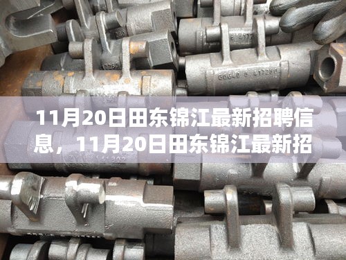 11月20日田東錦江最新招聘信息，11月20日田東錦江最新招聘信息獲取與應(yīng)聘全攻略（初學(xué)者/進(jìn)階用戶適用）