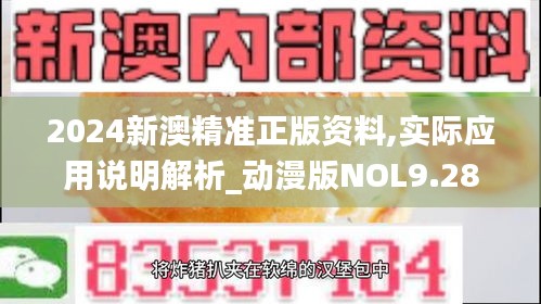 2024新澳精準(zhǔn)正版資料,實(shí)際應(yīng)用說明解析_動(dòng)漫版NOL9.28