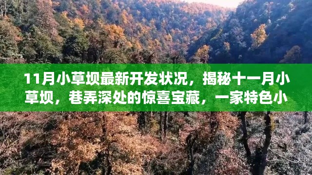 11月小草壩最新開發(fā)狀況，揭秘十一月小草壩，巷弄深處的驚喜寶藏，一家特色小店的獨特魅力