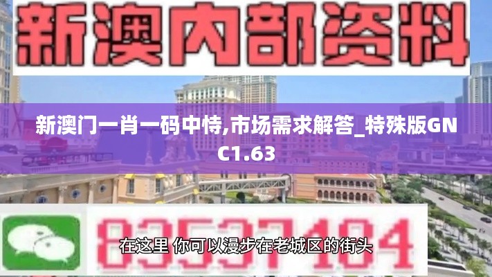 新澳門一肖一碼中恃,市場需求解答_特殊版GNC1.63