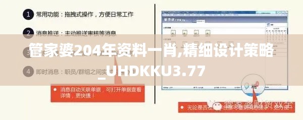 管家婆204年資料一肖,精細(xì)設(shè)計(jì)策略_UHDKKU3.77