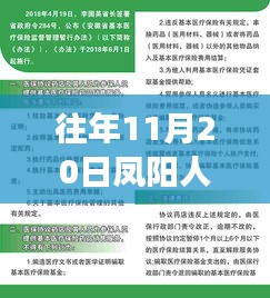 鳳陽人才網(wǎng)歷年招聘深度解析，職場人的新選擇——往年與最新招聘動態(tài)概覽