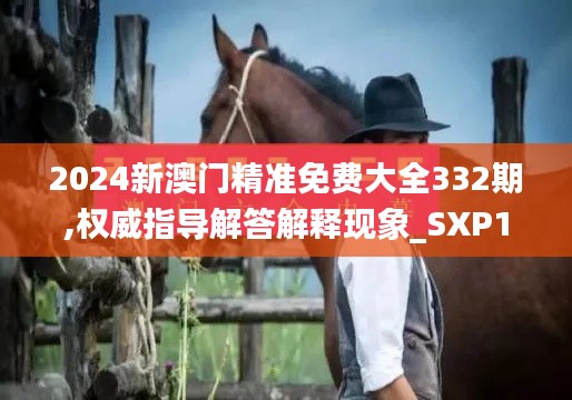 2024新澳門(mén)精準(zhǔn)免費(fèi)大全332期,權(quán)威指導(dǎo)解答解釋現(xiàn)象_SXP1.58