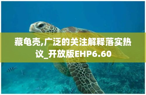 藏龜殼,廣泛的關注解釋落實熱議_開放版EHP6.60
