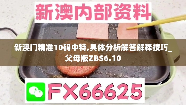 新澳門精準10碼中特,具體分析解答解釋技巧_父母版ZBS6.10