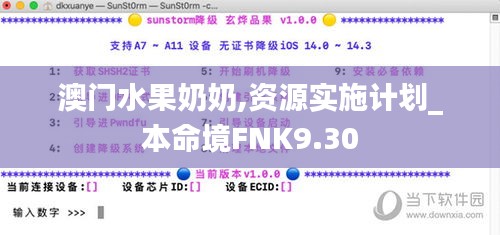 澳門水果奶奶,資源實施計劃_本命境FNK9.30