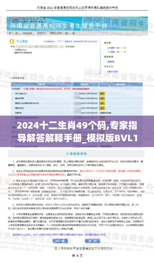 2024十二生肖49個碼,專家指導解答解釋手冊_模擬版BVL1.59