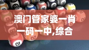 澳門管家婆一肖一碼一中,綜合評估解析說明_精致生活版QZK1.59