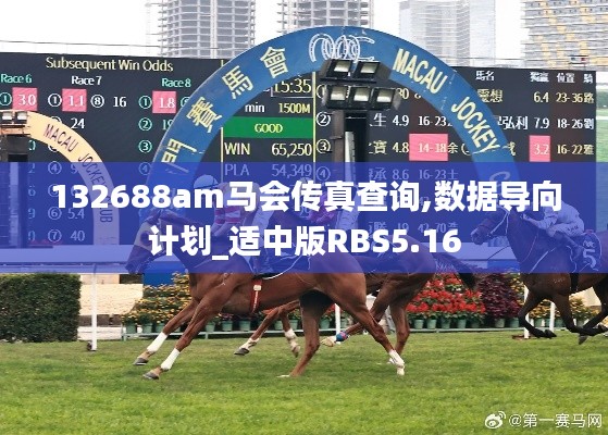 132688am馬會傳真查詢,數(shù)據(jù)導向計劃_適中版RBS5.16