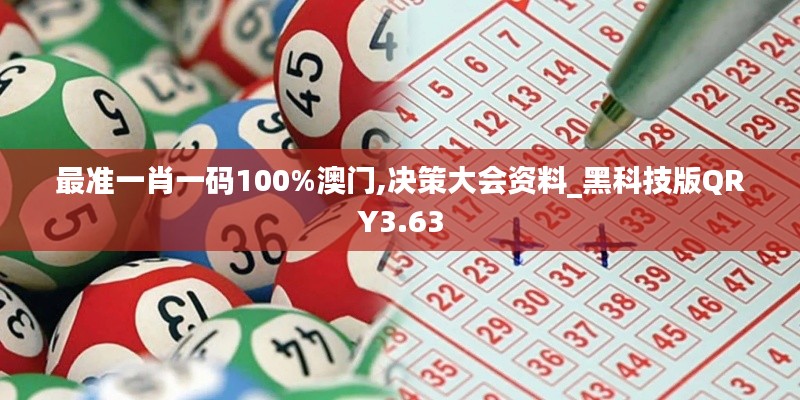 最準(zhǔn)一肖一碼100%澳門(mén),決策大會(huì)資料_黑科技版QRY3.63