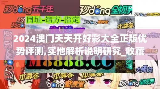 2024澳門天天開好彩大全正版優(yōu)勢(shì)評(píng)測(cè),實(shí)地解析說(shuō)明研究_收藏版JHR8.13