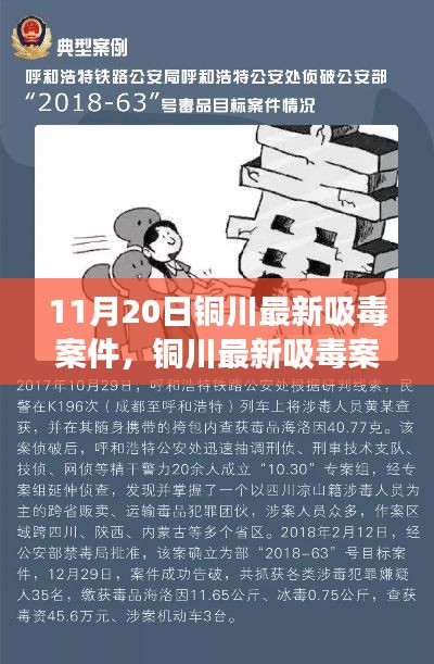 11月20日銅川最新吸毒案件，銅川最新吸毒案件深度解析，警鐘長(zhǎng)鳴，警惕毒品危害