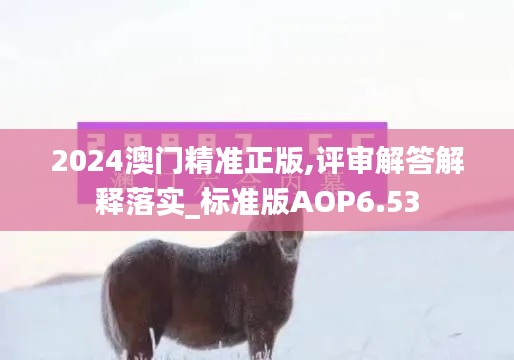 2024澳門精準(zhǔn)正版,評(píng)審解答解釋落實(shí)_標(biāo)準(zhǔn)版AOP6.53