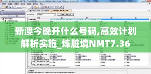新澳今晚開什么號碼,高效計劃解析實施_煉臟境NMT7.36