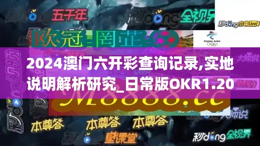2024澳門六開彩查詢記錄,實地說明解析研究_日常版OKR1.20