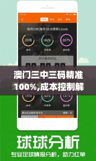 澳門三中三碼精準100%,成本控制解答落實_本命境ZWM3.63