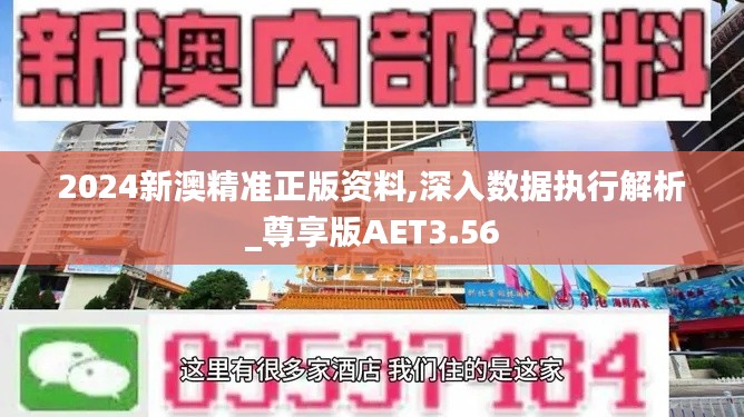 2024新澳精準(zhǔn)正版資料,深入數(shù)據(jù)執(zhí)行解析_尊享版AET3.56